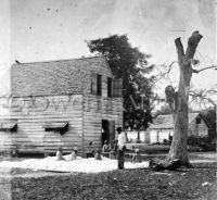African Americans preparing cotton, Port Royal