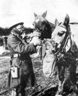 British soldier & horse wearing gas masks