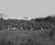 93d New York Infantry, Bealton
