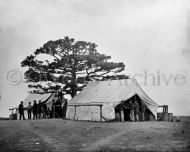 Sutler's tent,  Army of the Potomac H.Q.