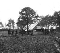 1st Brigade Horse Artillery, Brandy Station