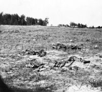 Skeletons of soldiers at Gaines Mill