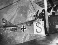 German DFW C.V Aviatik Battle over France
