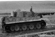 Tiger 1 Tank on Russia Eastern Front 