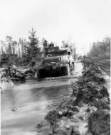 1st Infantry Division Half-Track Move Through Hurtgen Forest