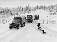 Army trucks and dog sled on the Alcan Highway