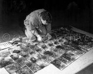 Signal Corps Officer Look at Top Secret Photographs