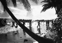 US Troops land on Guadalcanal