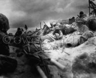 2nd Marine Division during the battle of Tarawa