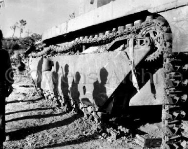 Battle-wrecked alligator tank, Okinawa