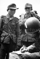 Captured Japanese Soldier in German Uniform