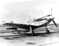 North American XP-51 on Tarmac