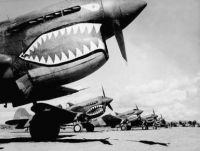 Curtis P-40 Warhawk's "Flying Tigers" on Tarmac 