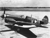 Curtis P-40 Warhawk "Flying Tiger" on Tarmac