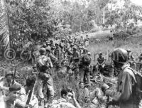 2nd Marine Regiment on Guadalcanal