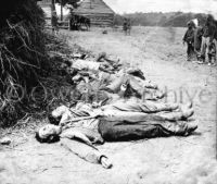 dead Confederate soldiers 