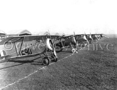 Biplanes in line for insepction in France