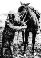 Soldier and his horse wearing gas masks